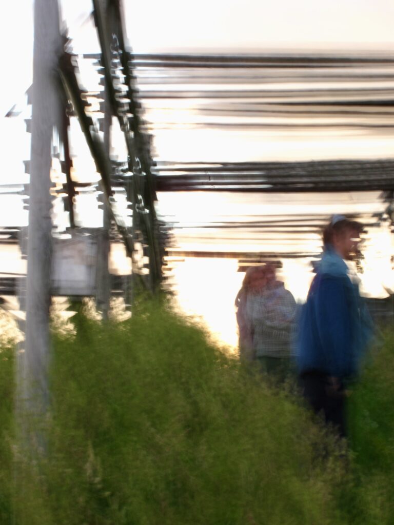 img 3904